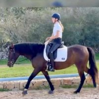 ID4658